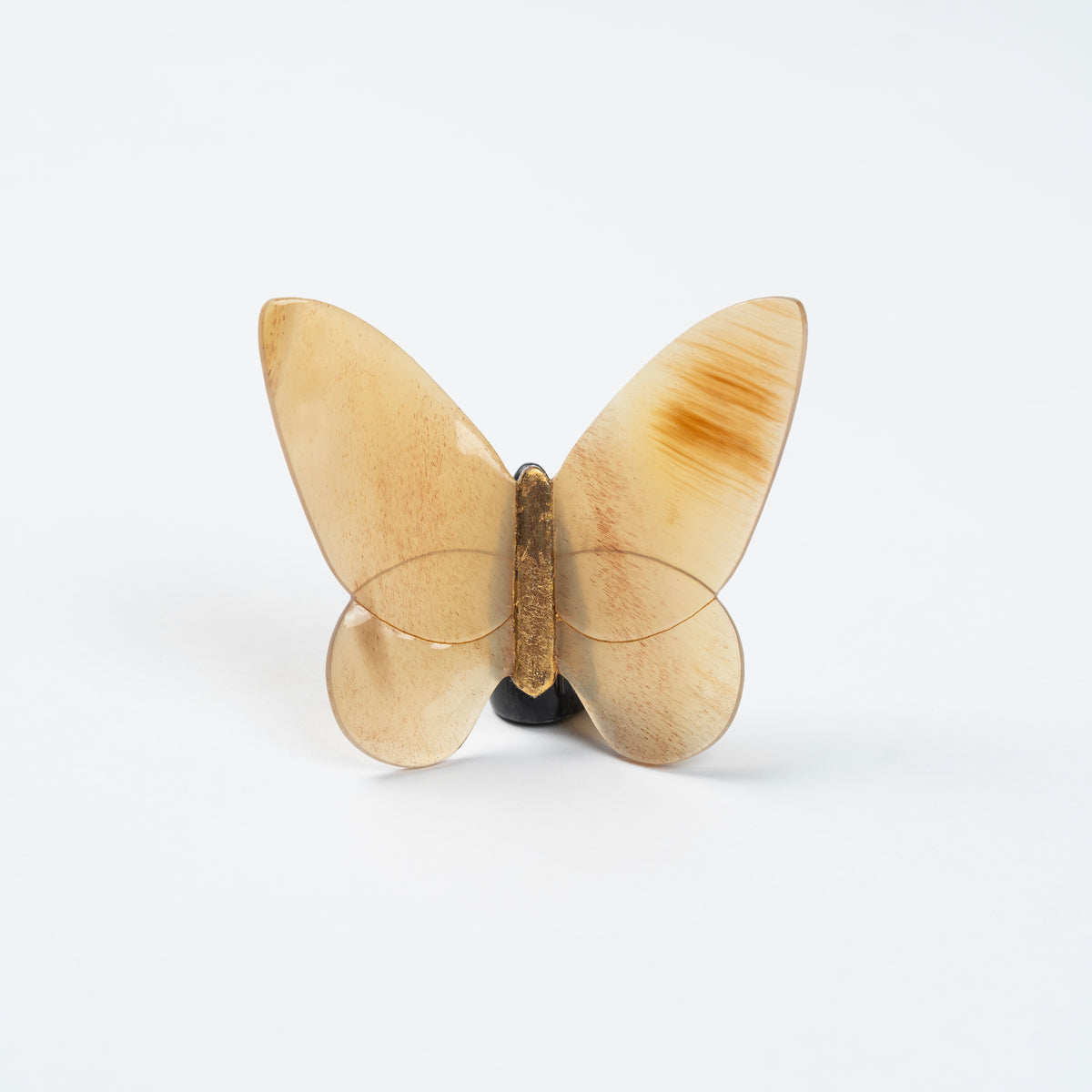 Butterfly Organic Horn