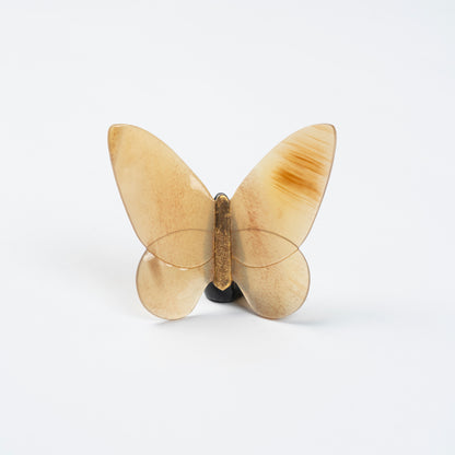 Butterfly Organic Horn